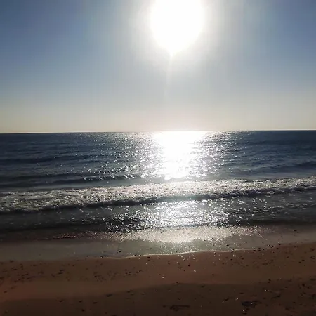 Private Lulu' With Balcony Salento בית אירוח צ'לינו סאן מרקו